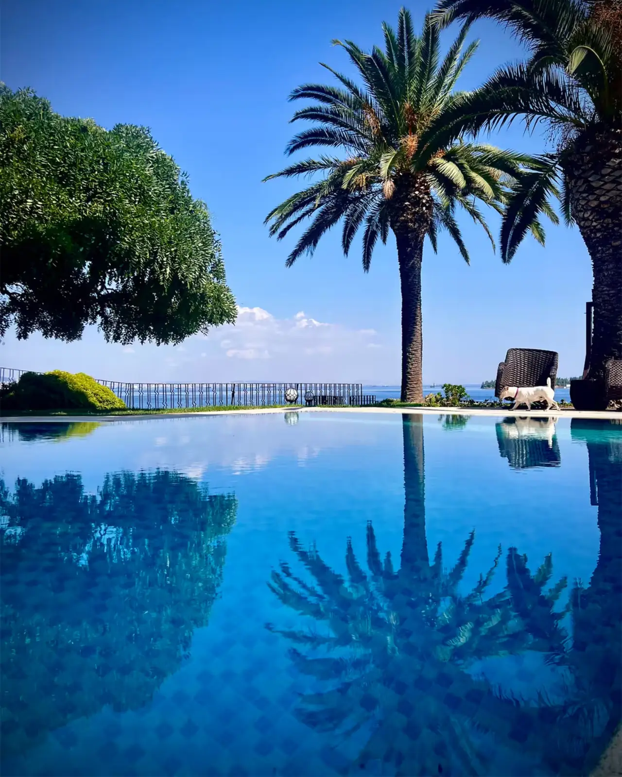 Büyükada’daki villanın denize bakan bahçesi